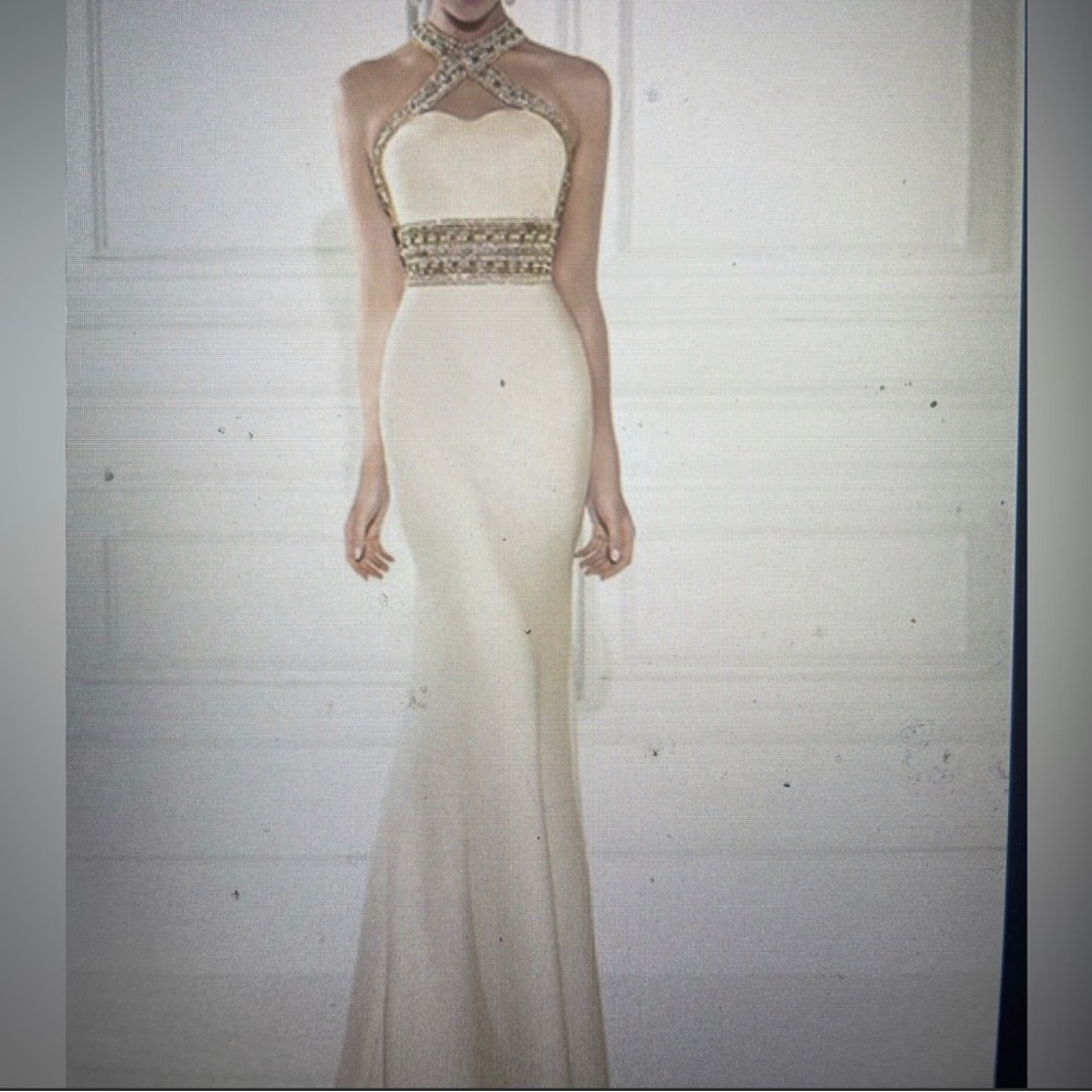 Bought this beautiful dress but came after the occasion. Never worn.